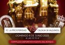 LA FINAL Copa Futormes Ruralvia FC La Prosperidad vs. Calzada del Vandunciel 8 de Junio de 2025